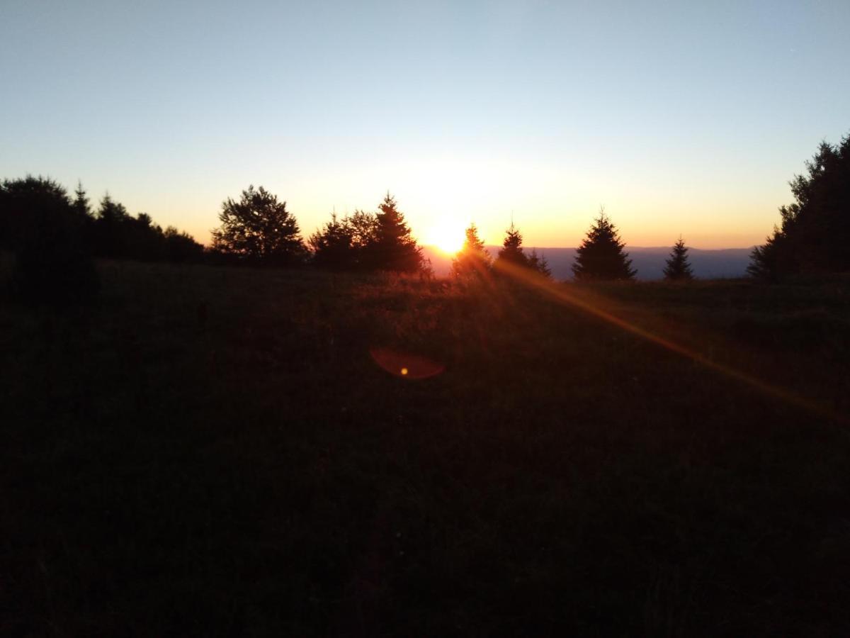 Vikendica Vila Despotovic Kopaonik Exterior foto