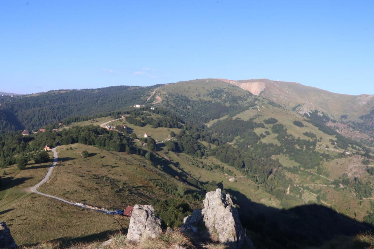 Vikendica Vila Despotovic Kopaonik Exterior foto