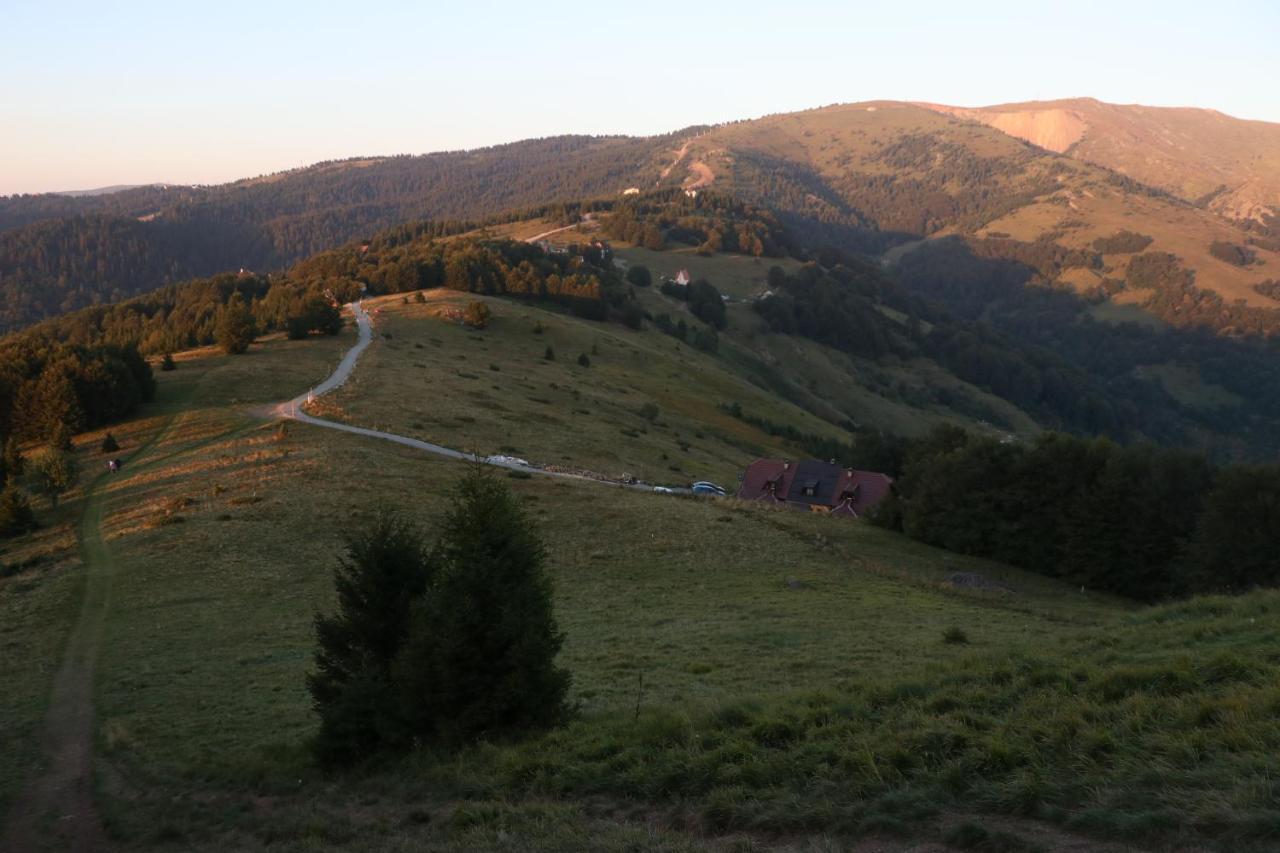 Vikendica Vila Despotovic Kopaonik Exterior foto