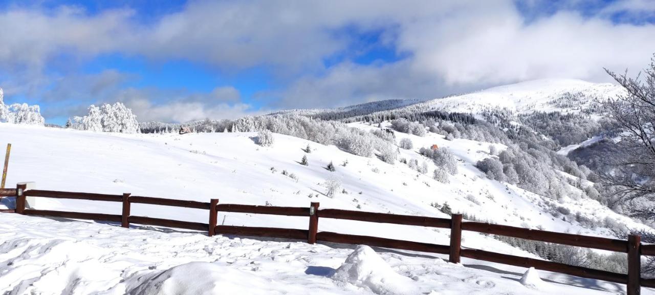 Vikendica Vila Despotovic Kopaonik Exterior foto